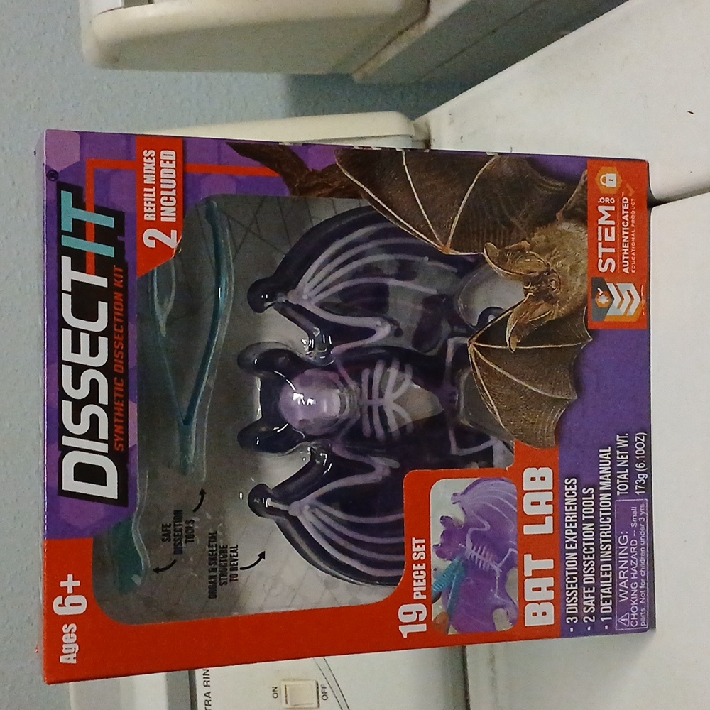 NEW Dissect-it Synthetic Lab Dissection Toy STEM KIT CRAFT Project Bat Biology